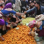 The Best of Sapa with Bac Ha Market